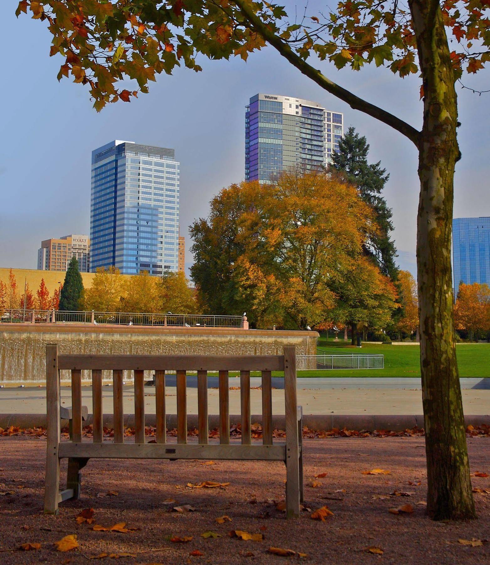 Sheraton Bellevue Hotel Bagian luar foto